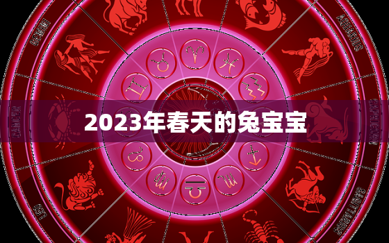 2023年春天的兔宝宝，2023年属兔的宝宝好不好