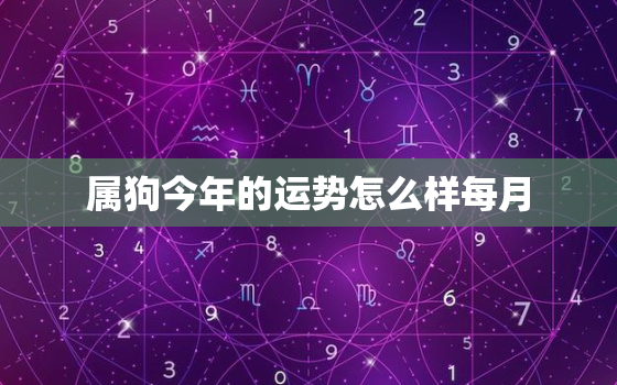 属狗今年的运势怎么样每月，属狗人今年每月运程