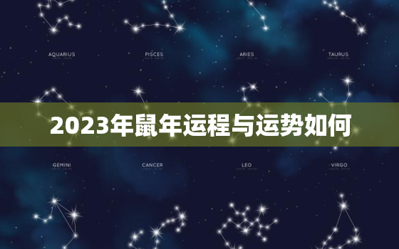 2023年鼠年运程与运势如何，2023年鼠人运势运程