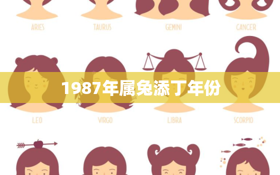 1987年属兔添丁年份，87年属兔36岁有一灾