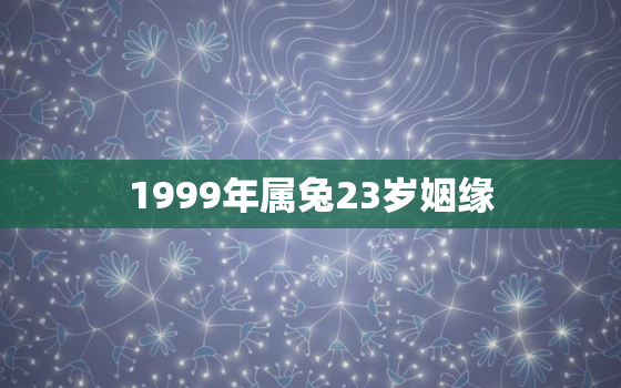 1999年属兔23岁姻缘，94年属狗28岁姻缘如何