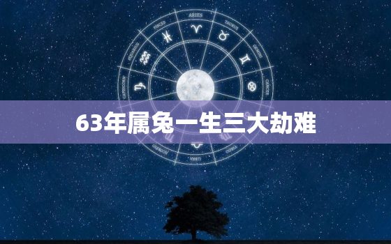 63年属兔一生三大劫难，63年属兔一生命运