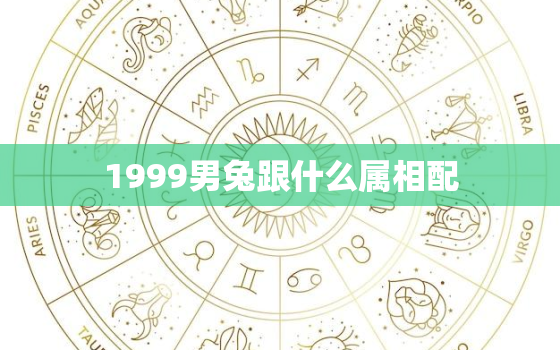 1999男兔跟什么属相配，1999男兔跟什么属相配最好