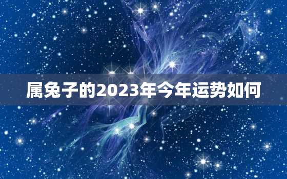 属兔子的2023年今年运势如何，属兔的2023年运势怎么样