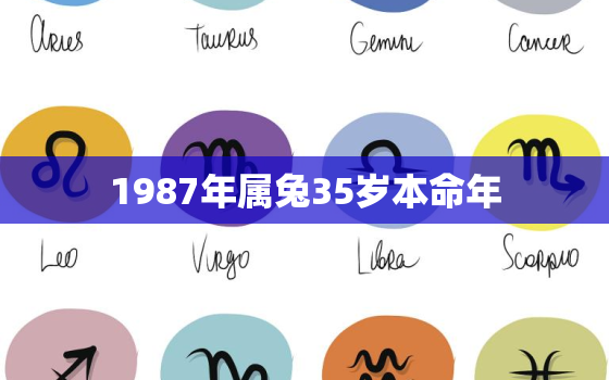 1987年属兔35岁本命年，1987年属兔36岁本命年是什么样子的女