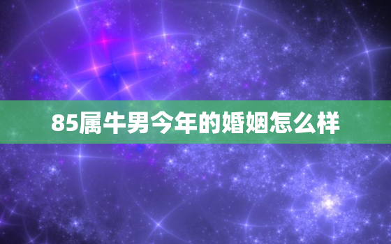 85属牛男今年的婚姻怎么样，85的男牛今年运气和婚约