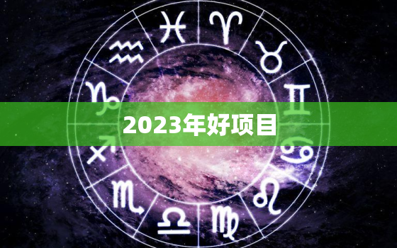 2023年好项目，今年好项目