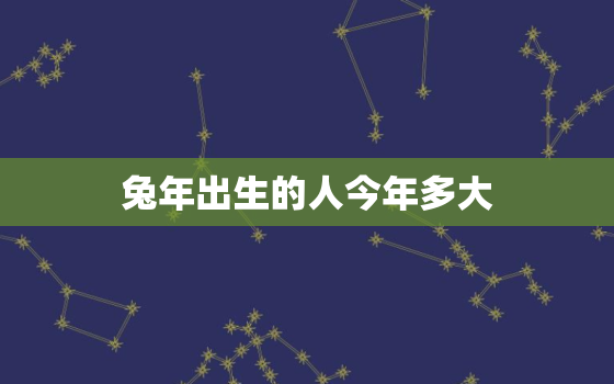 兔年出生的人今年多大，兔年出生的年份多少岁