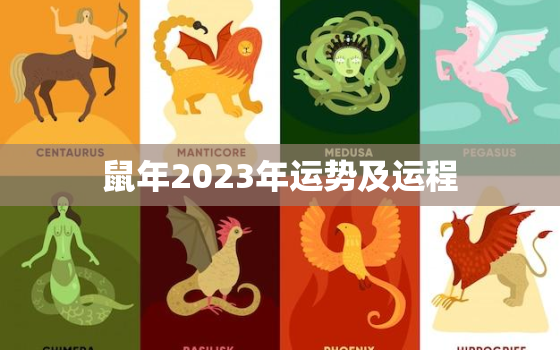 鼠年2023年运势及运程，2023年鼠年运程与运势