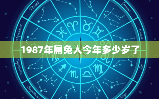 1987年属兔人今年多少岁了，1987年属兔今年是多少岁