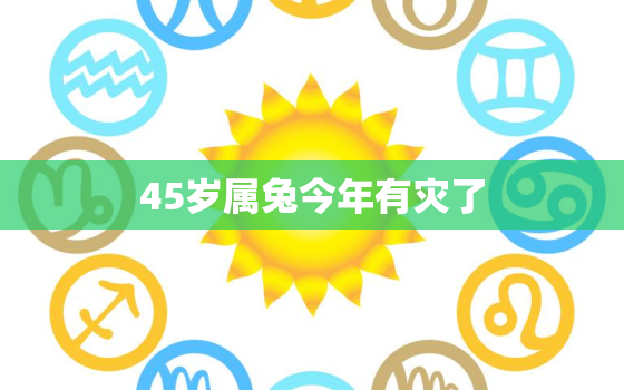 45岁属兔今年有灾了，属兔人45岁以后时来运转