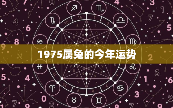 1975属兔的今年运势，1975属兔2022年的运势及运程