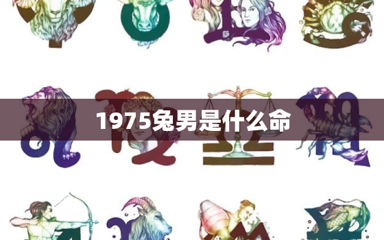 1975兔男是什么命，属兔1975男