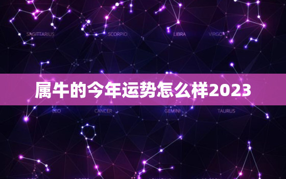 属牛的今年运势怎么样2023，属牛人2022年下半年运势