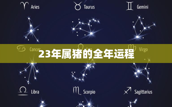 23年属猪的全年运程，属猪的今年运势怎么样