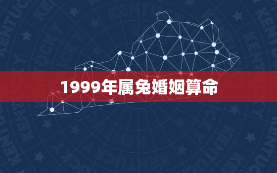 1999年属兔婚姻算命，1999年的兔的婚姻