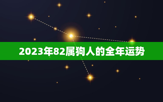 2023年82属狗人的全年运势，82狗2023年运势及运程