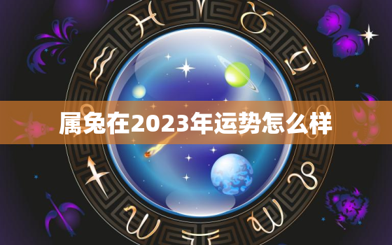 属兔在2023年运势怎么样，属兔的2023年的运势