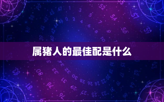 属猪人的最佳配是什么，属猪的人最佳配偶是属什么的