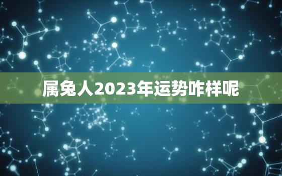 属兔人2023年运势咋样呢，属兔人2023年年运势