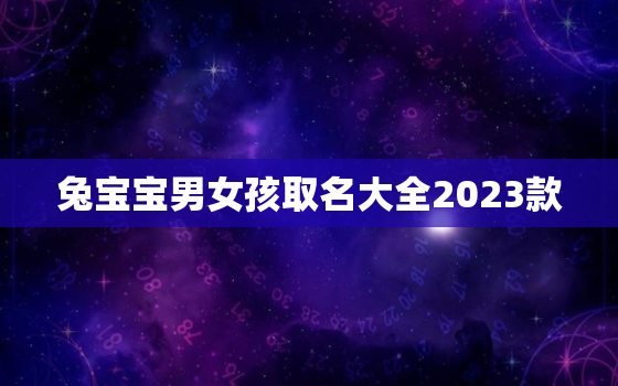 兔宝宝男女孩取名大全2023款，兔宝宝男女孩取名大全2023款名字