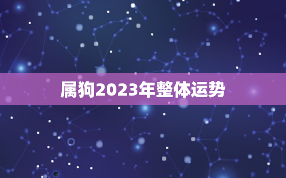 属狗2023年整体运势，1982年属狗人40岁到49岁运程