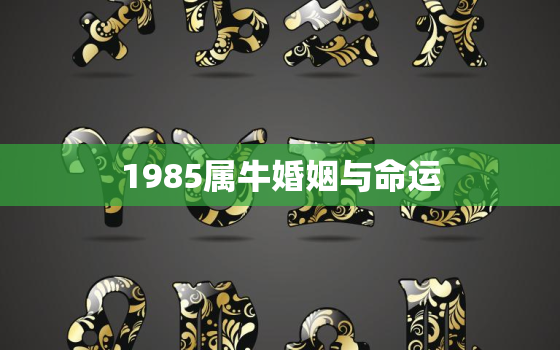 1985属牛婚姻与命运，1985属牛婚姻与命运相配吗