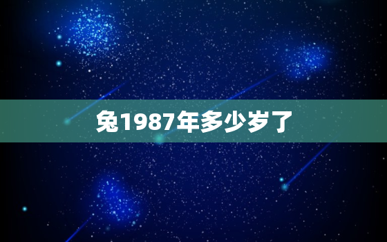 兔1987年多少岁了，属兔子的1987年多少岁