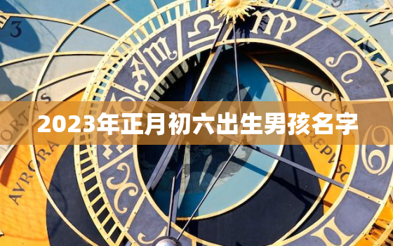 2023年正月初六出生男孩名字，2021年正月初六出生的
宝起名