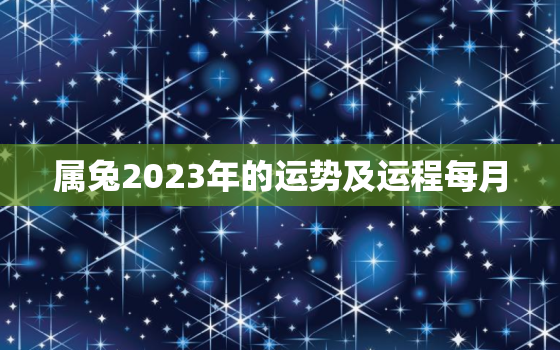 属兔2023年的运势及运程每月，属兔人2023年全年运势