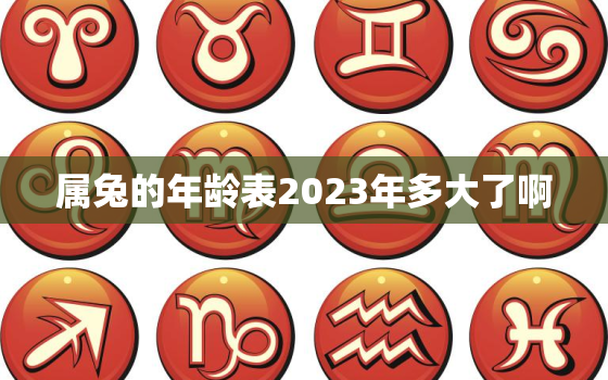 属兔的年龄表2023年多大了啊，属兔的在2023年的全年命运如何