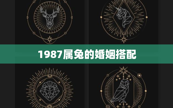 1987属兔的婚姻搭配，1987属兔的婚姻搭配什么