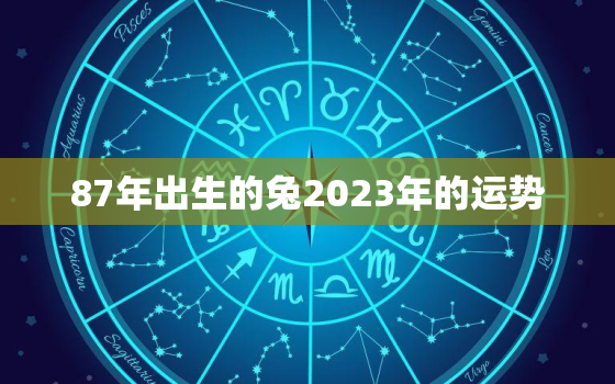 87年出生的兔2023年的运势，87年生肖兔2023年运势