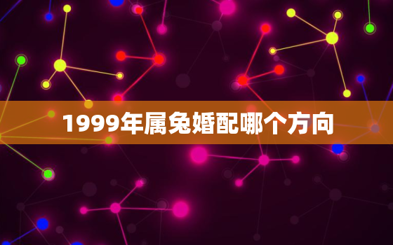 1999年属兔婚配哪个方向，1999年属兔和什么最般配