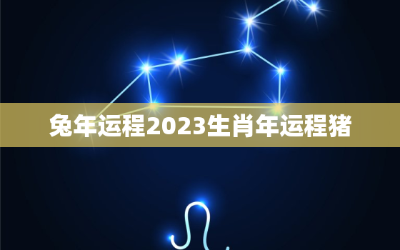 兔年运程2023生肖年运程猪，兔年运势2023年运势如何