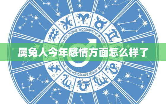 属兔人今年感情方面怎么样了，属兔的人2022年感情怎么样