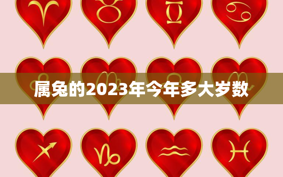 属兔的2023年今年多大岁数，属兔的人2023年