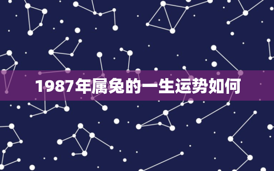 1987年属兔的一生运势如何，1987年属兔的一生运势如何样