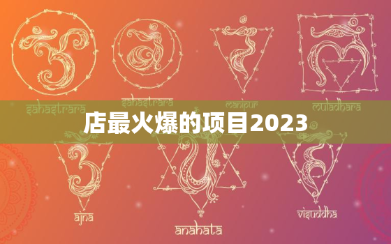 店最火爆的项目2023，饮食加盟店最火爆的项目2023