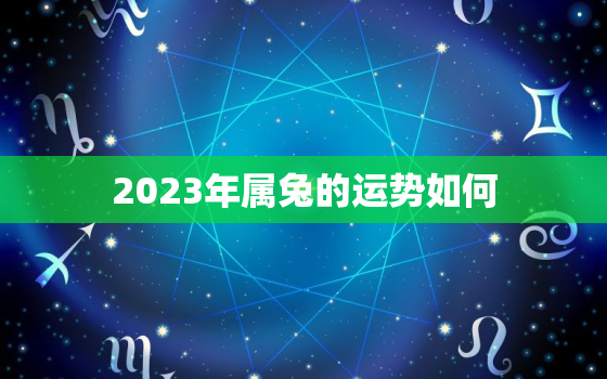 2023年属兔的运势如何，2023年属兔人全年运势