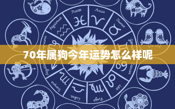 70年属狗今年运势怎么样呢，70年属狗的今年运程怎么样