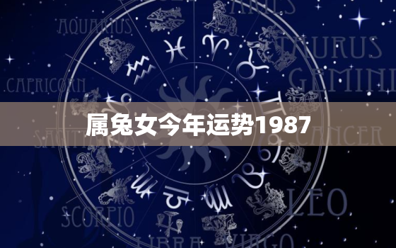 属兔女今年运势1987，属兔人2021年全年运势1987女