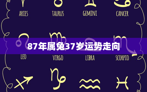 87年属兔37岁运势走向，87年属兔33岁2021年