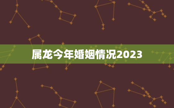 属龙今年婚姻情况2023，属龙今年的婚姻感情如何2020