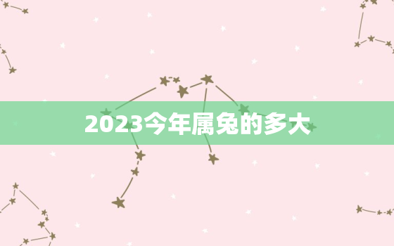 2023今年属兔的多大，2023属兔的人多大了