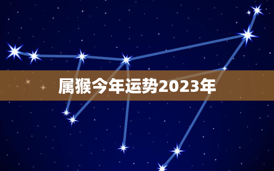 属猴今年运势2023年，属猴人今年运势2023年每月运势