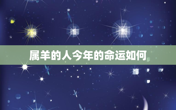 属羊的人今年的命运如何，属羊的人今年的运势怎么样