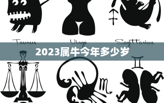 2023属牛今年多少岁，属牛2023年是什么命