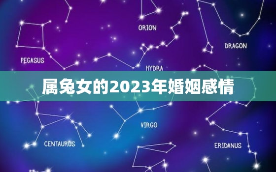 属兔女的2023年婚姻感情，属兔女2022年婚姻状况