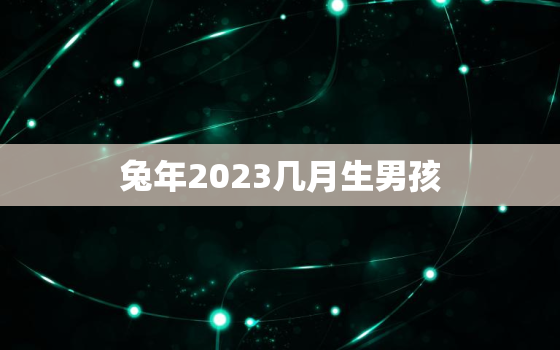 兔年2023几月生男孩，兔年2023几月生男孩最好